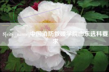 忻州中国消防救援学院山东选科要求