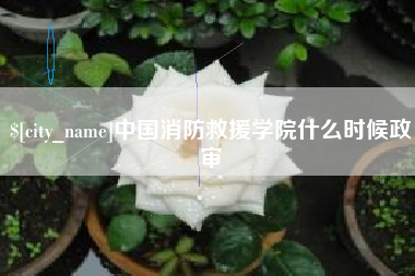 忻州中国消防救援学院什么时候政审