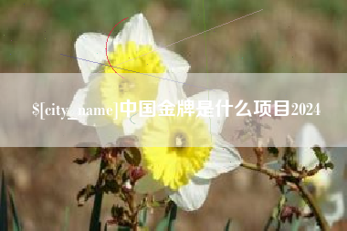 忻州中国金牌是什么项目2024