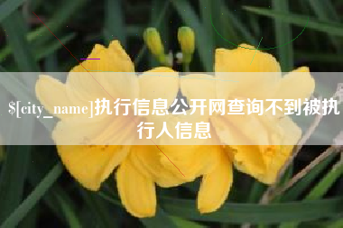 忻州执行信息公开网查询不到被执行人信息