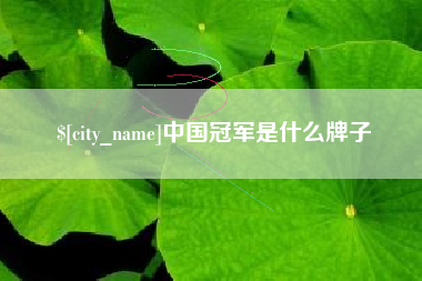 忻州中国冠军是什么牌子