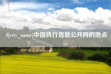 忻州中国执行信息公开网的地点