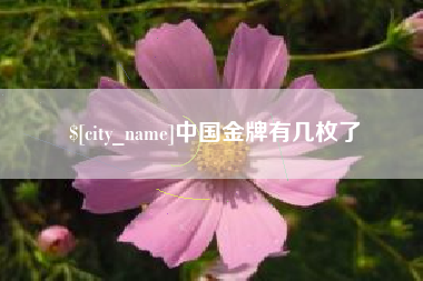忻州中国金牌有几枚了