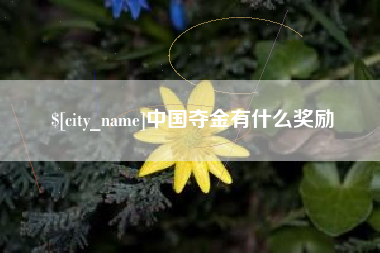 忻州中国夺金有什么奖励
