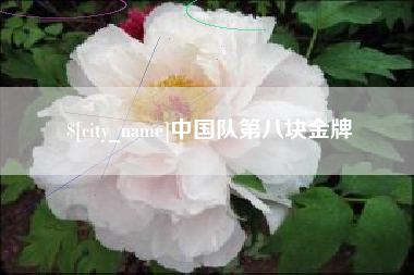 忻州中国队第八块金牌
