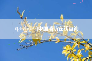忻州中国消防在线查询