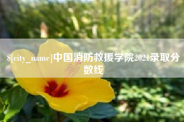 忻州中国消防救援学院2021录取分数线