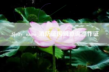 忻州消防证国网查询操作证