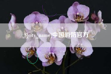 忻州中国消防官方