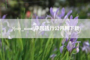 忻州中国执行公开网下载