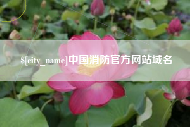 忻州中国消防官方网站域名