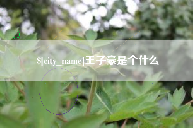 忻州王子豪是个什么