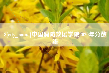 忻州中国消防救援学院2020年分数线