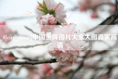 忻州中国金牌图片大全大图真实高清