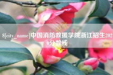 忻州中国消防救援学院浙江招生2020分数线