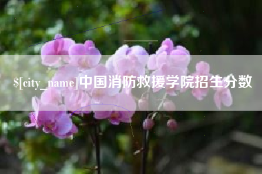 忻州中国消防救援学院招生分数