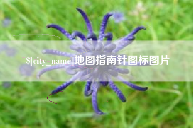 忻州地图指南针图标图片