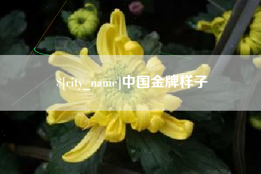 忻州中国金牌样子
