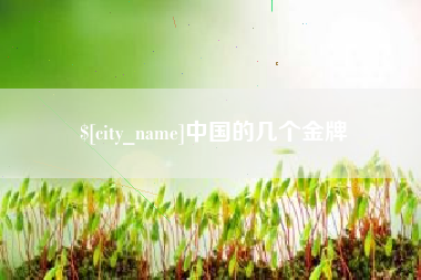 忻州中国的几个金牌