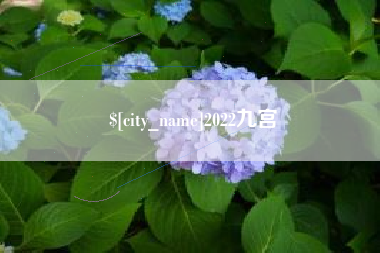 忻州2022九宫