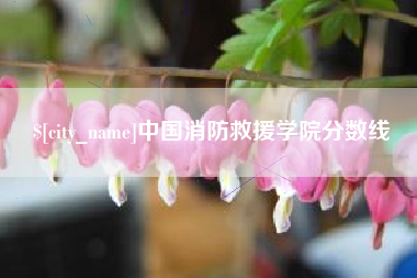 忻州中国消防救援学院分数线