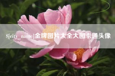 忻州金牌图片大全大图卡通头像