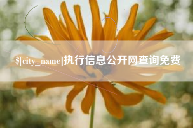 忻州执行信息公开网查询免费