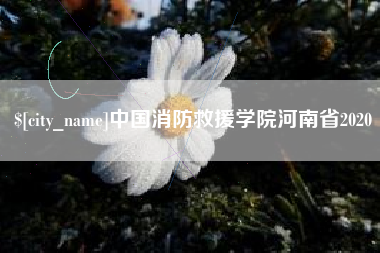 忻州中国消防救援学院河南省2020